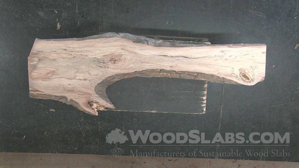 Pecan Wood Slab #QVW-Z9Q-IS52