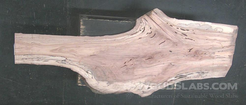 Pecan Wood Slab #SVV-ROO-PD5V