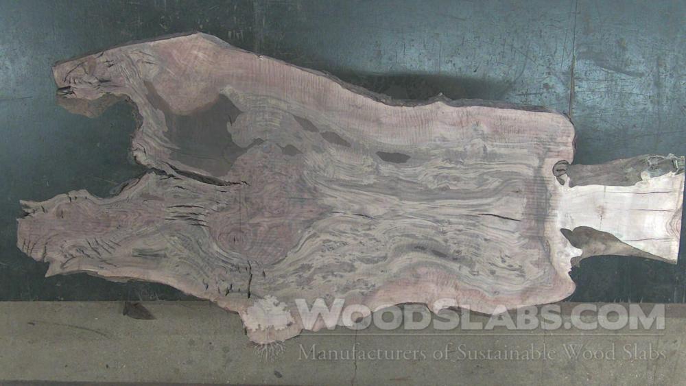 Claro Walnut Wood Slab #S3V-PBY-EWFT