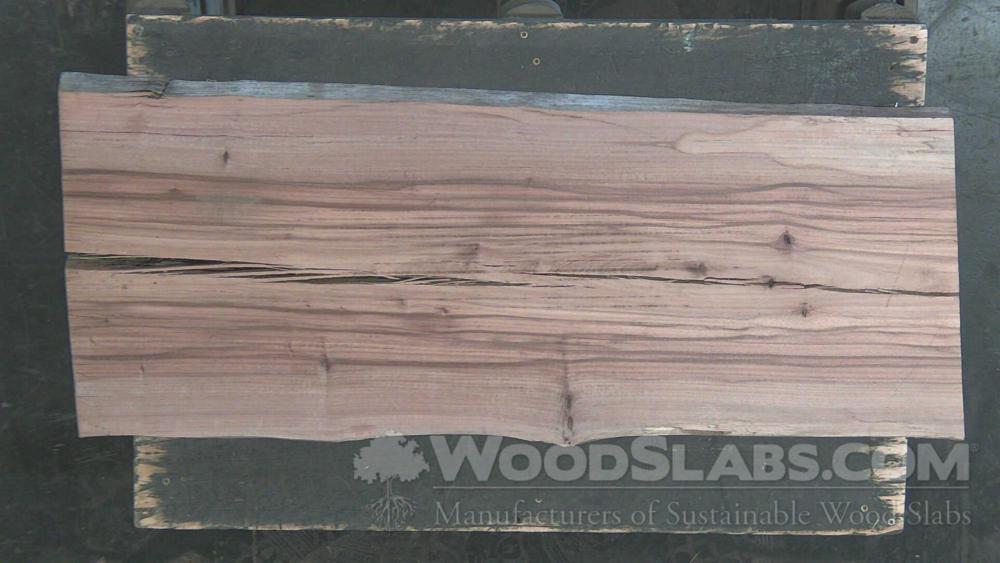 Australian Beefwood Wood Slab #KC0-5LM-TSAN