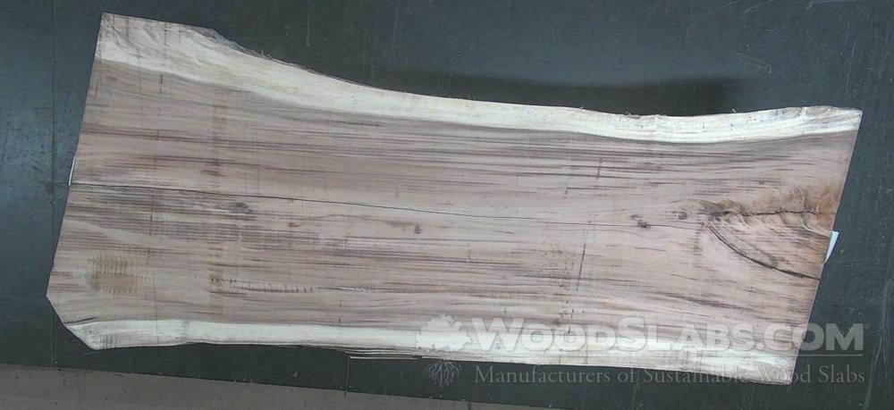 Parota Wood Slab #8XG-JX1-U94W