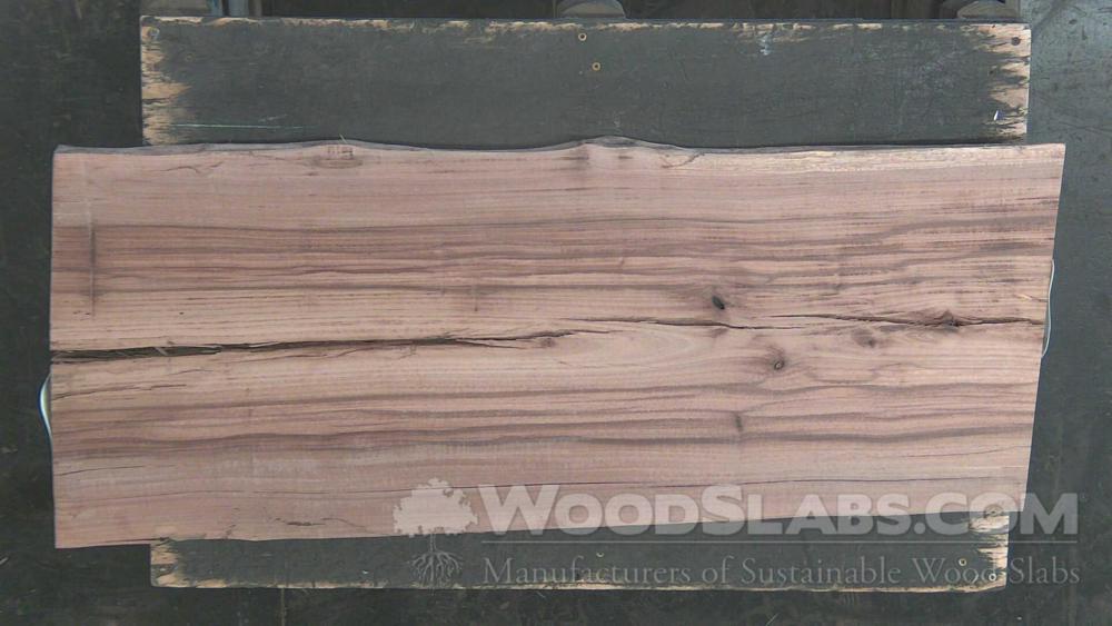 Australian Beefwood Wood Slab #2ZH-CAQ-H6TG