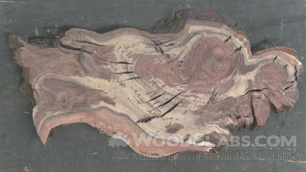 Claro Walnut Wood Slab #XPK-RAE-R812