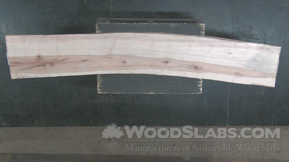 Sycamore Wood Slab #7Z5-ZOM-L02B