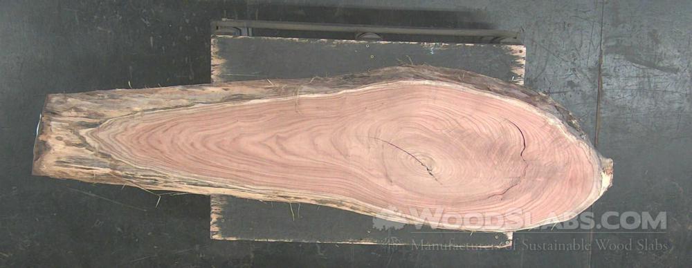 Miscellaneous Wood Slab #BRD-G03-MB0X