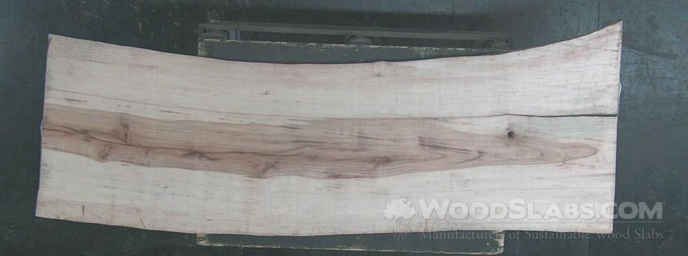 Sycamore Wood Slab #G3K-JWK-BLNU