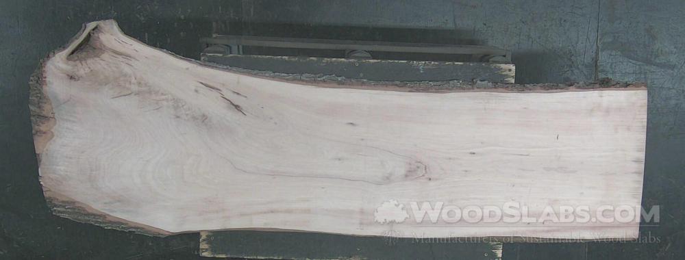 Sycamore Wood Slab #DTA-PC9-KL8I