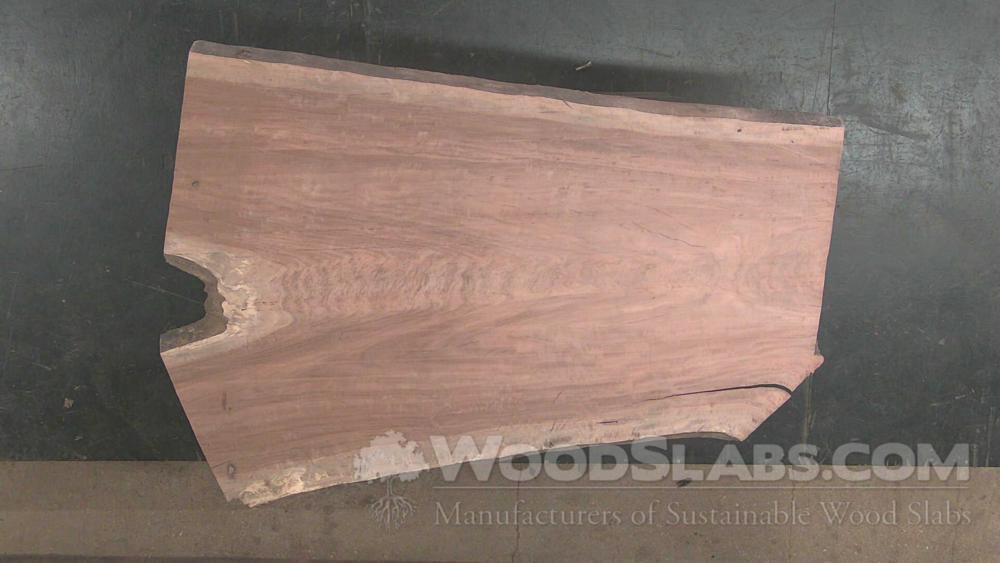 Eucalyptus Wood Slab #DT0-NMI-3CWZ