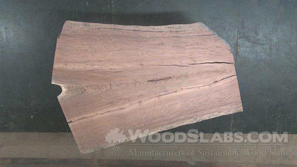 Eucalyptus Wood Slab #KF0-K5O-0M3L