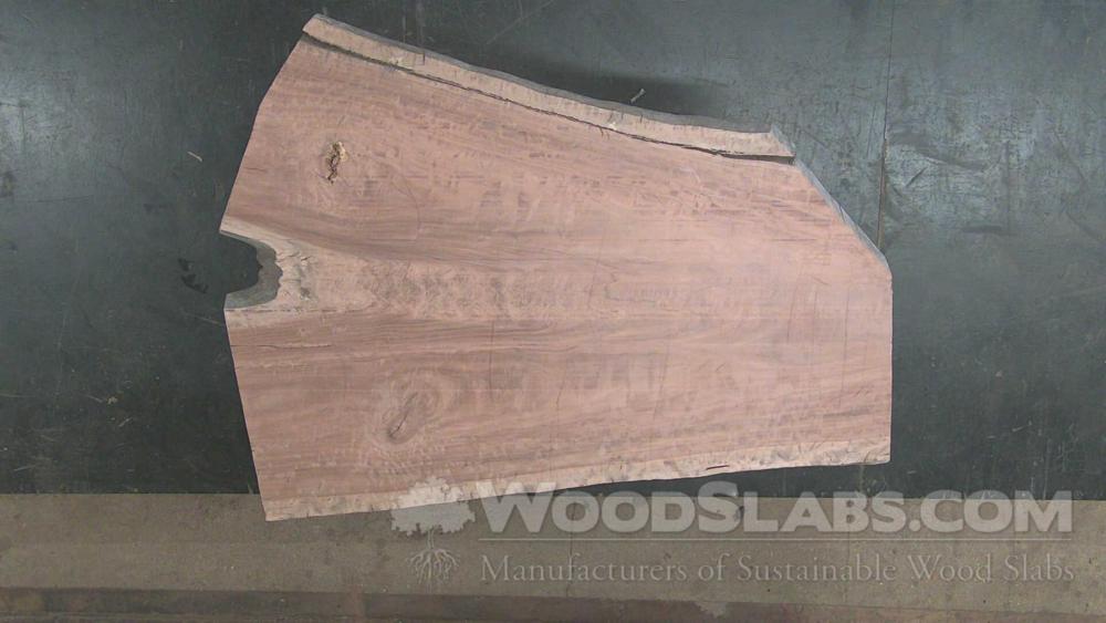 Eucalyptus Wood Slab #PDO-UIA-FH9P