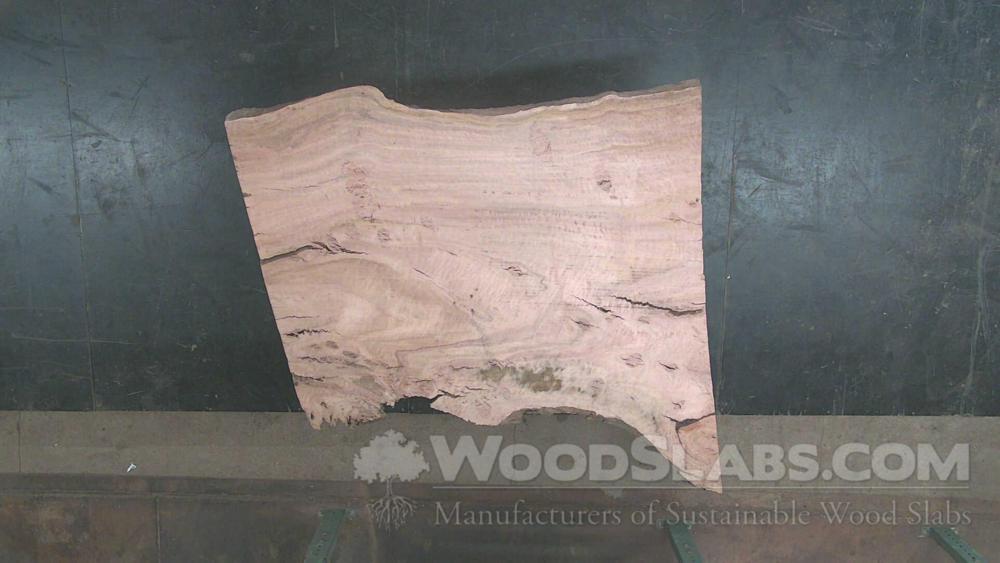 Eucalyptus Wood Slab #RRY-H0G-C6VR