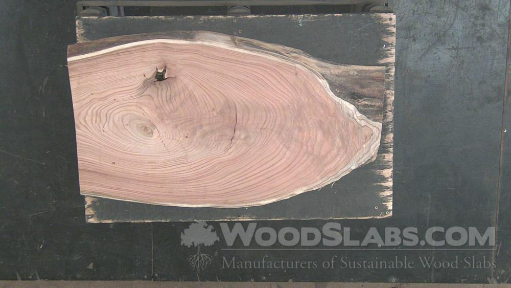 Mulberry Wood Slab #C3F-X3C-N4DT