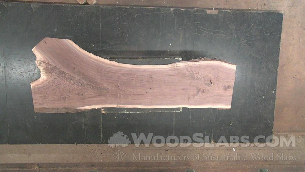 Walnut Wood Slab #PP5-3AM-24LH