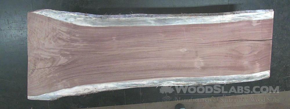 Parota Wood Slab #TLI-7HL-5D57