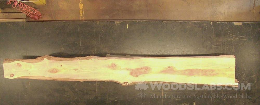 Cypress Wood Slab #D23-VZI-MKVK