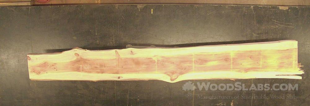 Cypress Wood Slab #X60-439-MU5Z