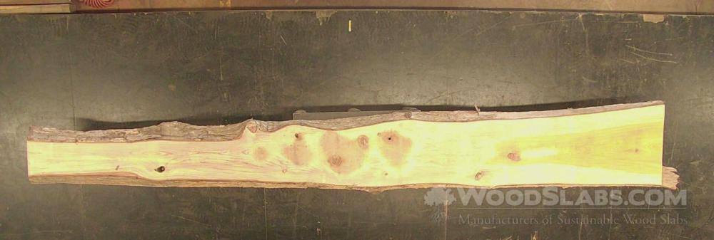 Cypress Wood Slab #BT7-U0P-YWX4