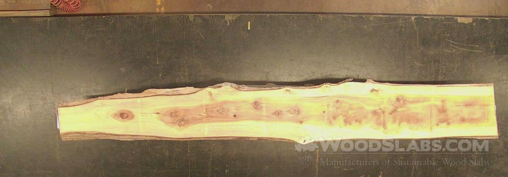 Cypress Wood Slab #B2N-371-GG34