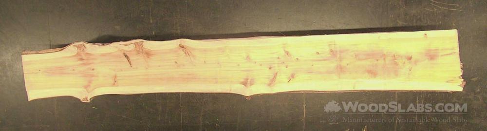 Cypress Wood Slab #62L-SU7-Y8IZ