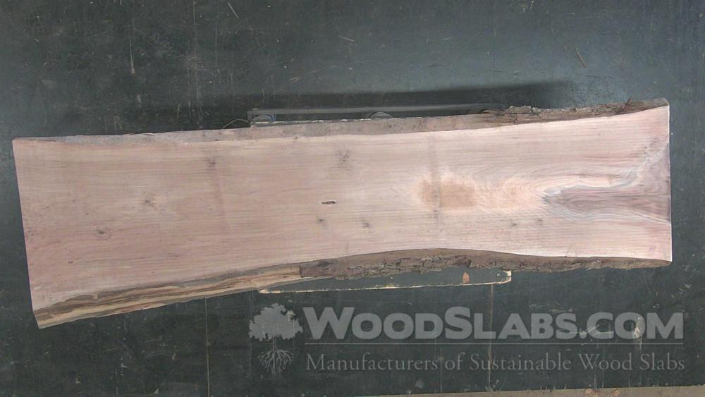 Walnut Wood Slab #THS-B94-V8JZ