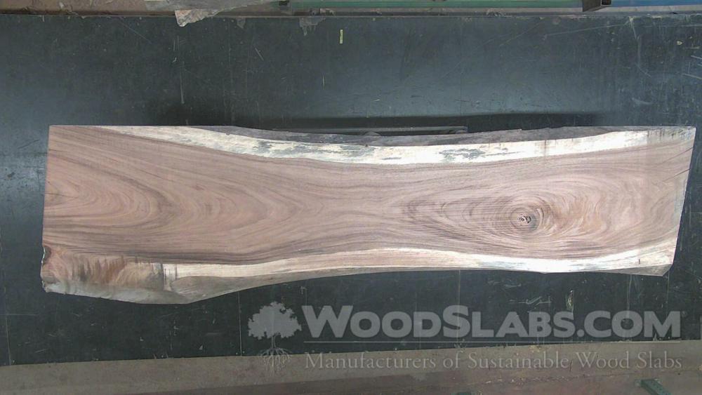 Parota Wood Slab #0I1-BGM-P382