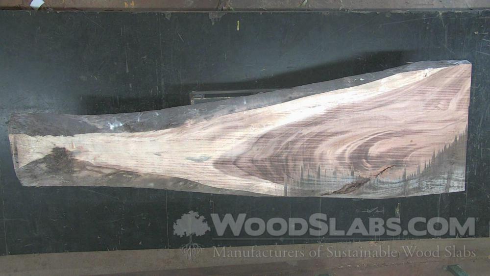 Parota Wood Slab #H5B-ZSN-AY58