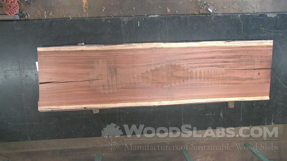 Tigerwood Wood Slab #AIE-7S3-8PVL