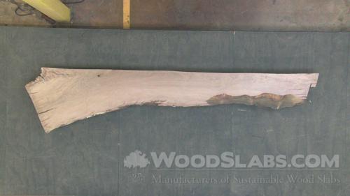 Live Oak Wood Slab #NUT-V3A-O6DE