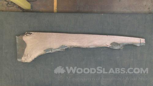 Live Oak Wood Slab #V6W-GI1-VYVV