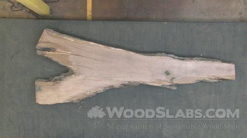 Live Oak Wood Slab #6Z1-OD7-MMIG