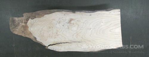 Tree of Heaven Wood Slab #DK0-DIJ-4MCA