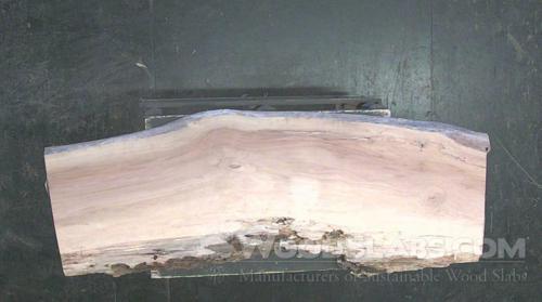 Sycamore Wood Slab #V9C-22J-EF4F