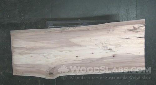 Sycamore Wood Slab #DVR-S28-XVIE