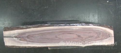 Walnut Wood Slab #LLW-5A6-T8CF