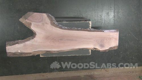 Walnut Wood Slab #7CH-DAI-4U2C