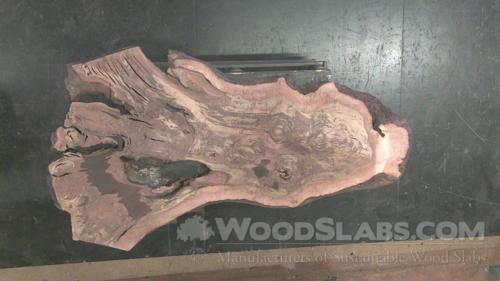 Claro Walnut Wood Slab #I5K-5TU-3Q3S