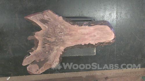 Claro Walnut Wood Slab #HZL-20U-J3BQ