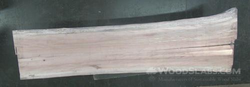 Sycamore Wood Slab #37M-M1V-9K2K