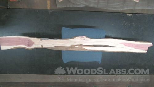 Aromatic Cedar Wood Slab #758-JTV-2R97