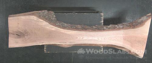 White Ash Wood Slab #IU6-71W-NXKP