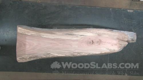 Willow Oak Wood Slab #NF6-MZG-01RL