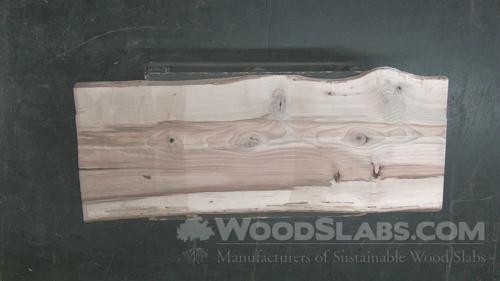 Mockernut Hickory Wood Slab #W08-U02-S1D2