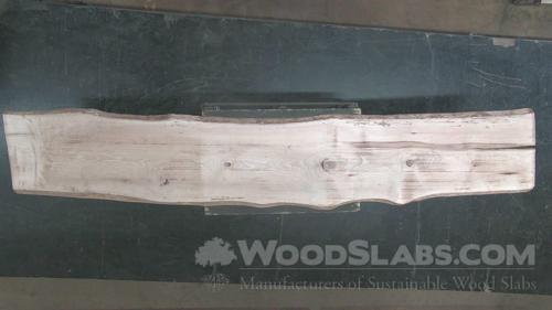 Mockernut Hickory Wood Slab #KE6-OPB-JZMT