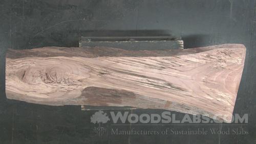 Willow Oak Wood Slab #9H5-NTL-VLOA