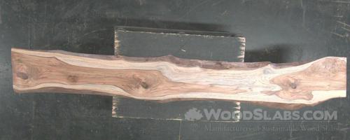 Latin Teak Wood Slab #OI3-28T-BR37