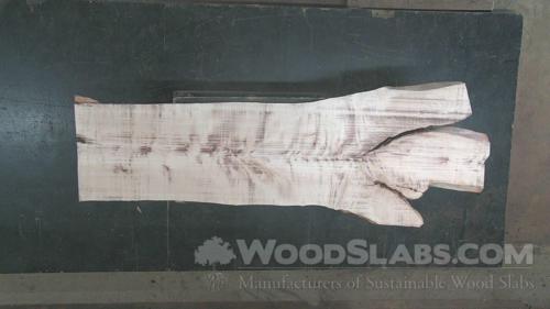 Maple Wood Slab #9JH-8L1-FVDC