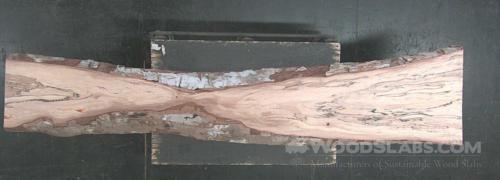 Pecan Wood Slab #AE2-N6E-417J