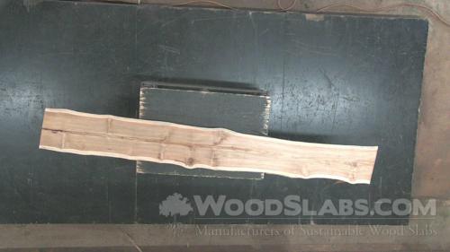 Latin Teak Wood Slab #WMH-X74-B2WQ
