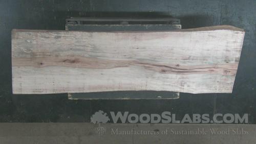 Sycamore Wood Slab #XB4-3GD-RYK7