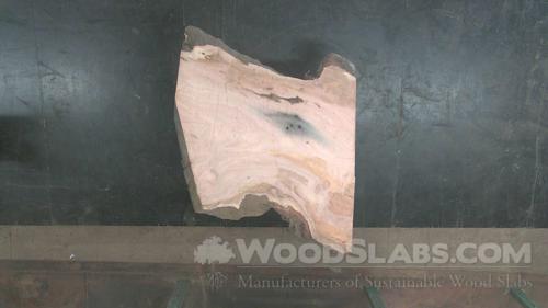 Eucalyptus Wood Slab #S2K-563-ZSSU